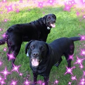 Meet your Posher, Susan